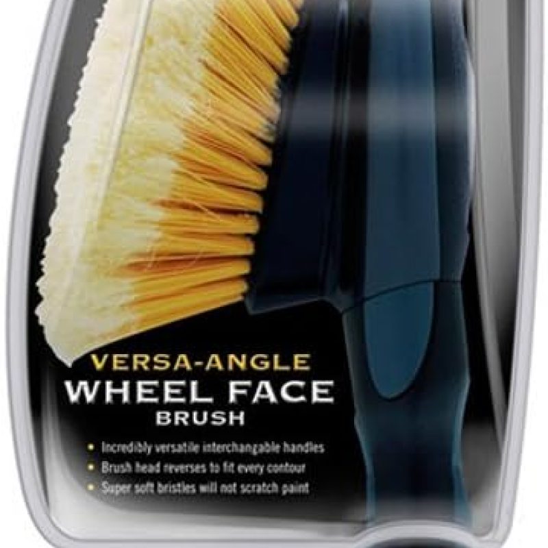 51DsrqfbXaL._AC_SL1000_