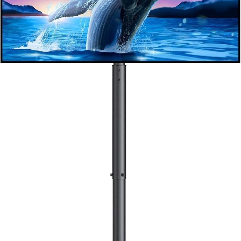 61C63tnV6TL._AC_SL1500_