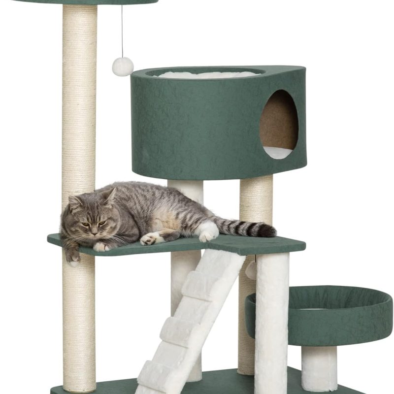 71p7aO8tA9L._AC_SL1500_