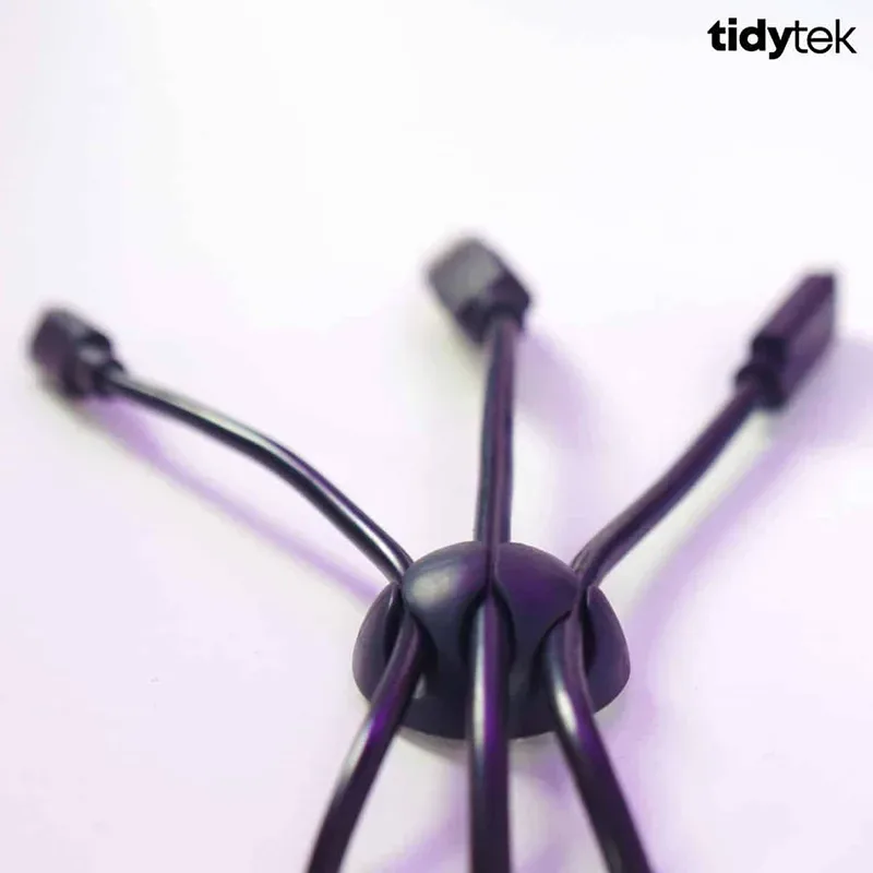 miguel Pinto Ferreira 2